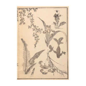 HOKUSAI KATSUHIKA, Study for Flowers, 1834